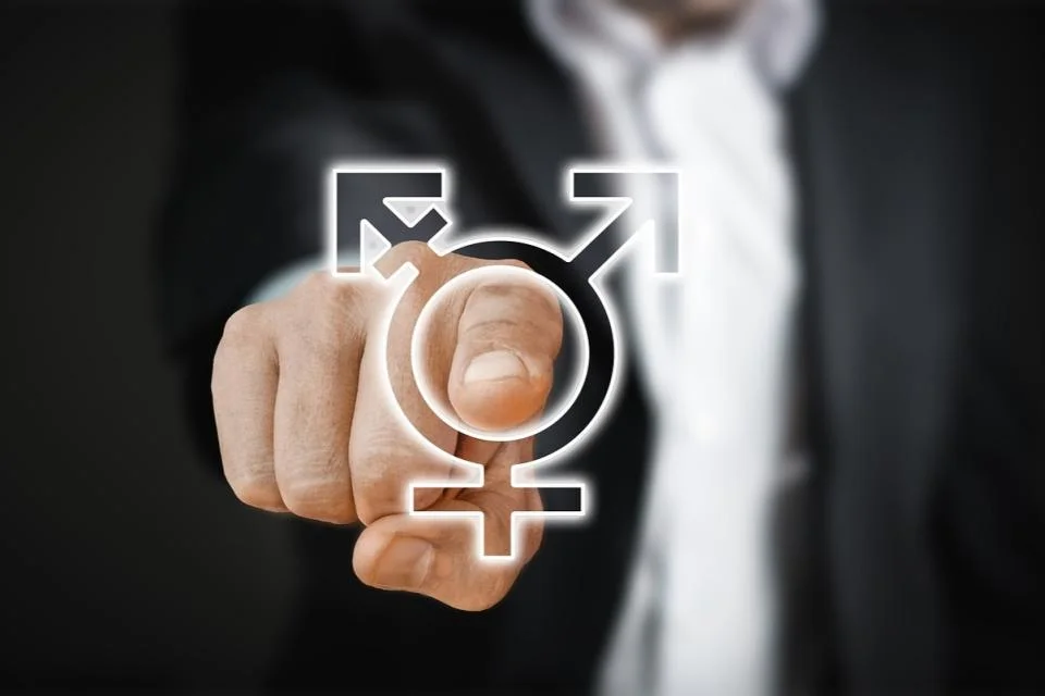 Gender and Disability Mainstreaming Surveys