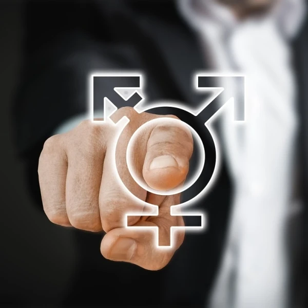 Gender and Disability Mainstreaming Surveys