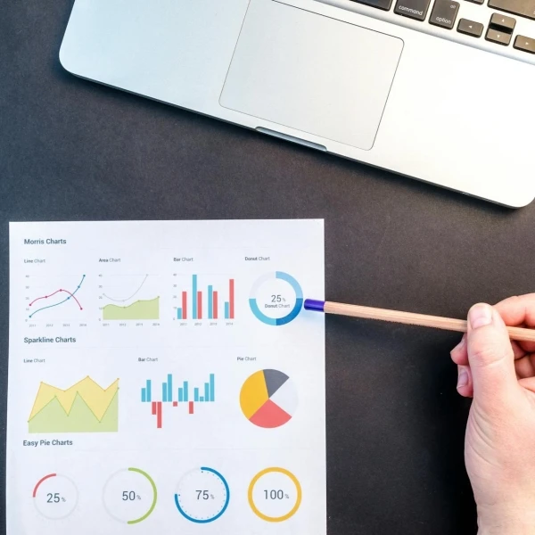Survey & Research Support